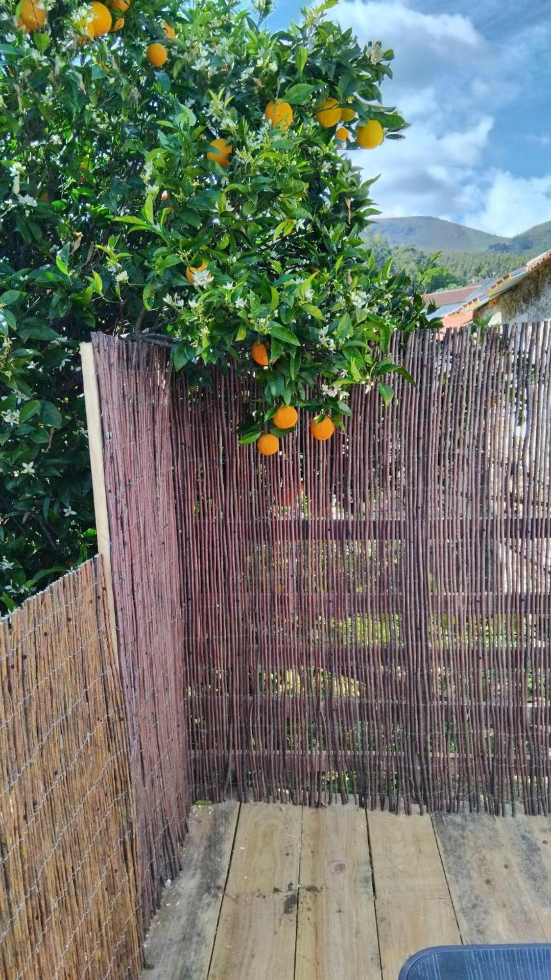 Casa Das Rocas Castanheira de Pera Esterno foto